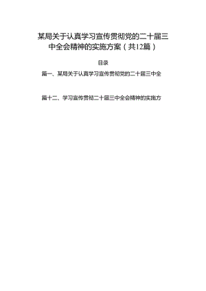 （12篇）某局关于认真学习宣传贯彻党的二十届三中全会精神的实施方案范文.docx