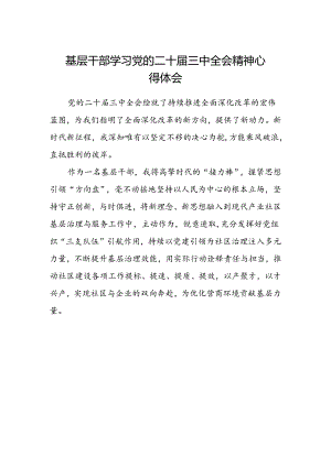 基层干部学习党的二十届三中全会精神心得体会.docx