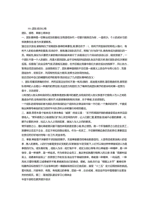 团队培训总结.docx