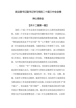 （12篇）政法委书记副书记学习党的二十届三中全会精神心得体会.docx