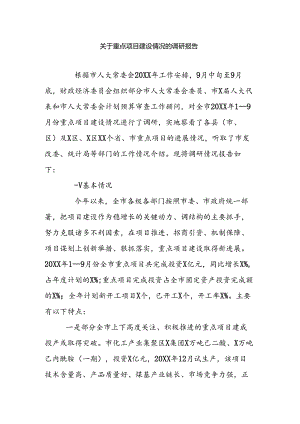 关于重点项目建设情况的调研报告.docx