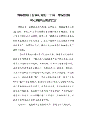 青年检察干警学习党的二十届三中全会精神心得体会研讨发言范文.docx