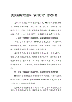 公安2024年夏夜治安巡查宣防集中统一行动工作总结二十七篇.docx