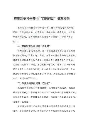 2024年市公安局开展夏季治安打击整治“百日行动”进展情况汇报13篇.docx