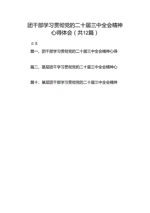 团干部学习贯彻党的二十届三中全会精神心得体会范文12篇（详细版）.docx