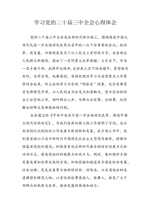 学习2024年学习党的二十届三中全会个人心得感悟 （合计12份）.docx