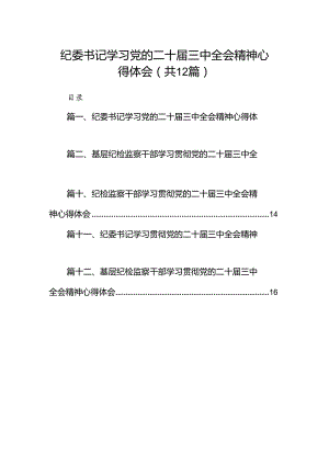 纪委书记学习党的二十届三中全会精神心得体会12篇（详细版）.docx
