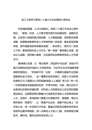 （8篇）组工干部学习贯彻二十届三中全会精神心得体会（精选）.docx