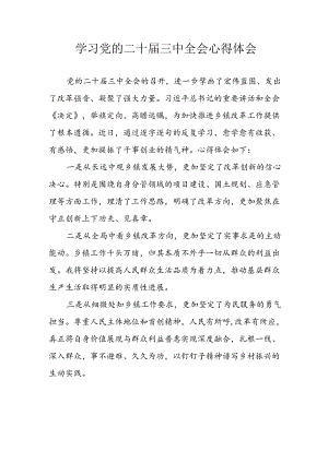 2024年学习学习党的二十届三中全会个人心得体会 汇编15份.docx