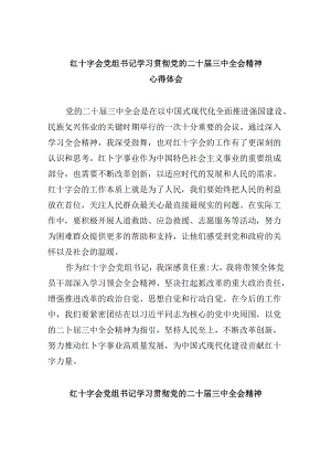 （9篇）红十字会党组书记学习贯彻党的二十届三中全会精神心得体会（最新版）.docx