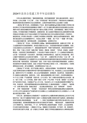 2024年县非公党建工作半年总结报告.docx