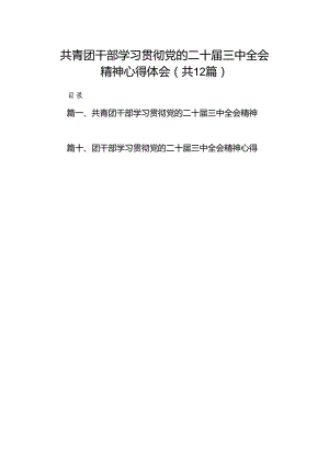 共青团干部学习贯彻党的二十届三中全会精神心得体会（共12篇选择）.docx