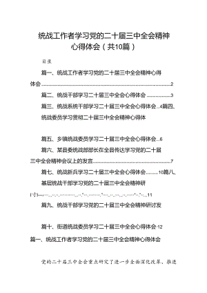 （10篇）统战工作者学习党的二十届三中全会精神心得体会（精选）.docx