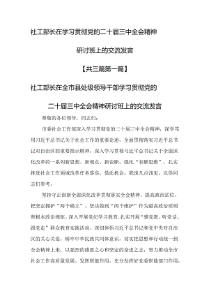 （3篇）社工部长在学习贯彻党的二十届三中全会精神研讨班上的交流发言.docx