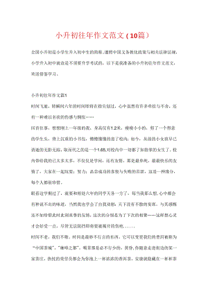 小升初往年作文范文（10篇）.docx