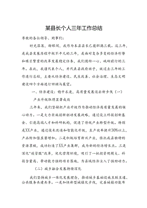 某县长个人三年工作总结.docx