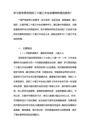 2024乡镇学习宣传贯彻党的二十届三中全会精神的开展情况报告2篇.docx