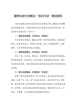 派出所推进2024年夏季治安打击整治行动工作汇报(十五篇).docx
