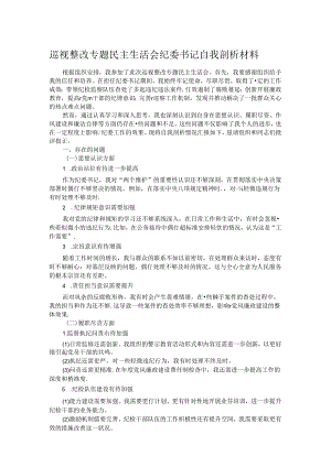 巡视整改专题民主生活会纪委书记自我剖析材料.docx