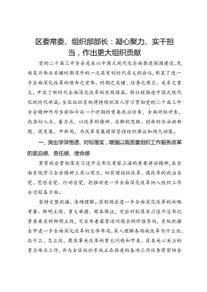 区委常委、组织部部长研讨发言：凝心聚力、实干担当作出更大组织贡献.docx