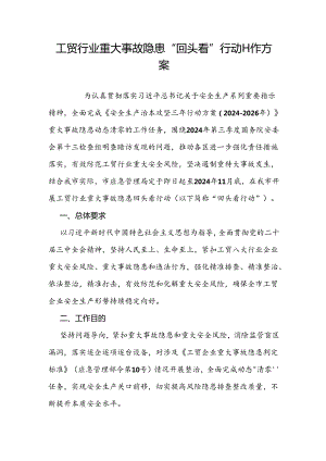 2024.8《天津市工贸行业重大事故隐患回头看行动工作方案》.docx