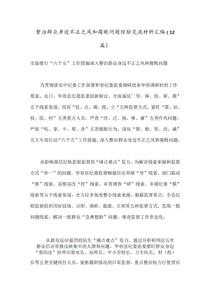 （12篇）整治群众身边不正之风和腐败问题经验交流材料汇编.docx