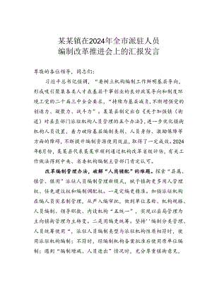 某某镇在2024年全市派驻人员编制改革推进会上的汇报发言.docx