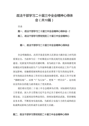 政法干部学习二十届三中全会精神心得体会【10篇精选】供参考.docx