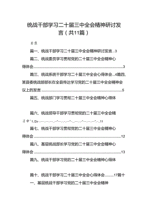 （11篇）统战干部学习二十届三中全会精神研讨发言范文.docx