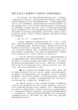 国有企业关于加强青年干部培养工作情况的报告.docx