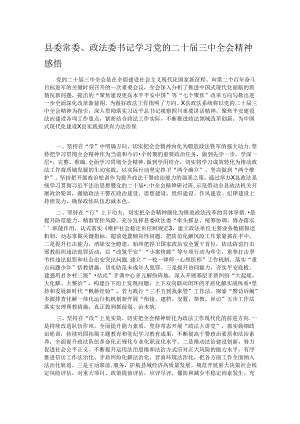 县委常委、政法委书记学习党的二十届三中全会精神感悟.docx
