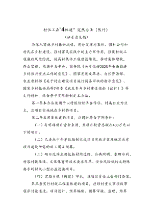 村级工程“集体建”实施办法（试行）（征求意见稿）.docx