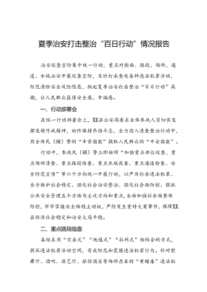 公安2024夏季治安打击整治“百日行动”总结报告26篇.docx