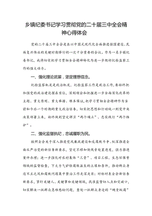 乡镇纪委书记学习贯彻党的二十届三中全会精神心得体会.docx