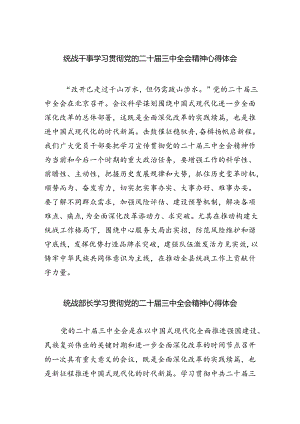 统战干事学习贯彻党的二十届三中全会精神心得体会8篇（精选）.docx
