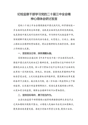 纪检监察干部学习党的二十届三中全会精神心得体会研讨发言.docx