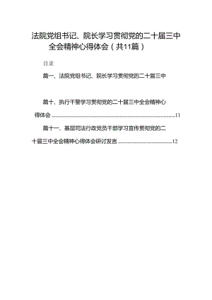 （11篇）法院党组书记、院长学习贯彻党的二十届三中全会精神心得体会集锦.docx