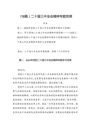 （12篇）二十届三中全会精神专题党课.docx