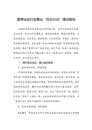 派出所开展2024年夏季治安打击整治“百日行动”情况总结报告十四篇.docx