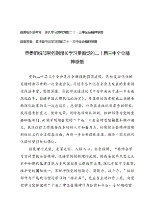 县委组织部常务副部长、县委常委、政法委书记学习贯彻党的二十届三中全会精神感悟心得体会.docx