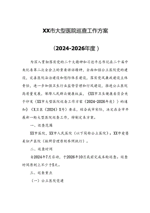 XX市大型医院巡查工作方案.docx