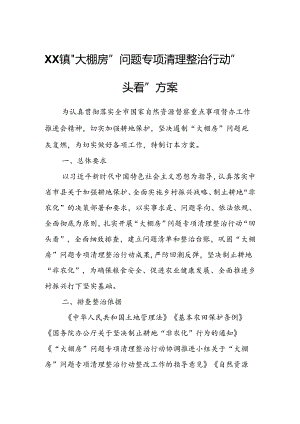 XX镇“大棚房”问题专项清理整治行动“回头看”方案.docx