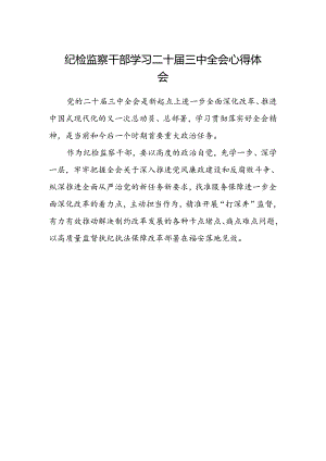 纪检监察干部学习二十届三中全会心得体会范文.docx