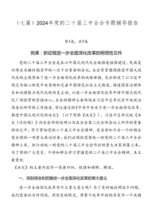 （七篇）2024年党的二十届三中全会专题辅导报告.docx