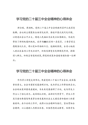 党的二十届三中全会精神的学习体会发言稿39篇.docx