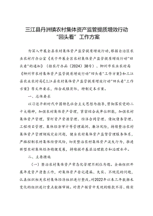 2024三江县丹洲镇农村集体资产监管提质增效行动“回头看”工作方案.docx