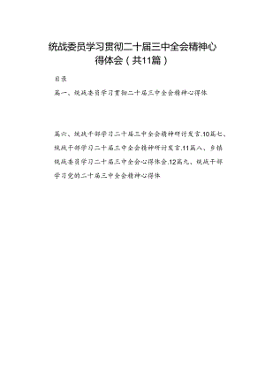 （11篇）统战委员学习贯彻二十届三中全会精神心得体会范文.docx