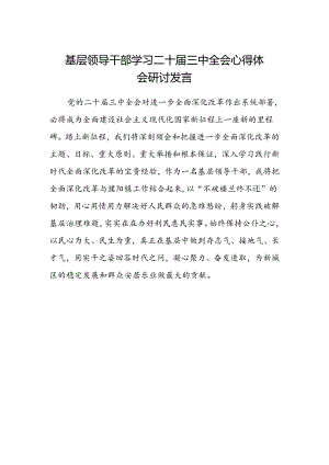 基层领导干部学习二十届三中全会心得体会研讨发言.docx
