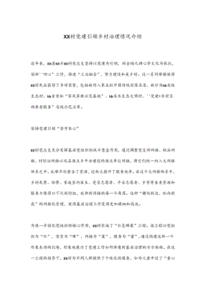 XX村党建引领乡村治理情况介绍.docx