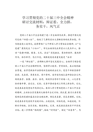 学习贯彻党的二十届三中全会精神研讨交流材料：辩证看全力拼务实干风气正.docx